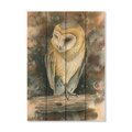 Wile E. Wood 14 x 20 in. Bartholets Barn Owl Wood Art DBBO-1420